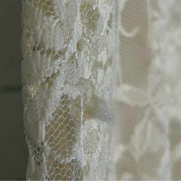 Wallflower Lace Dress - Picture 10 of 10